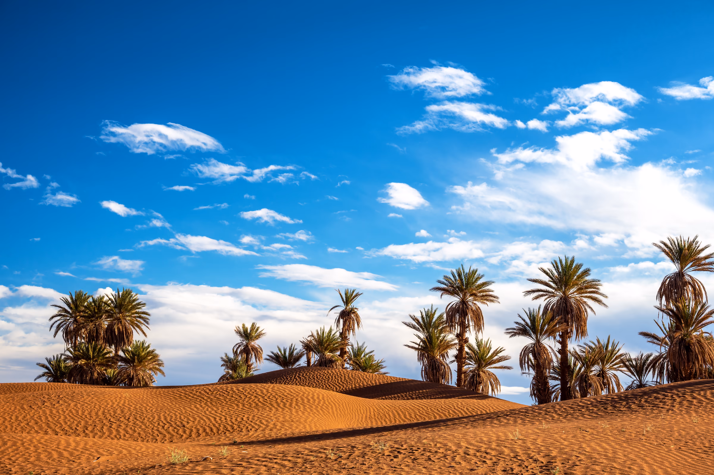 Marokko-rondreis door de Sahara